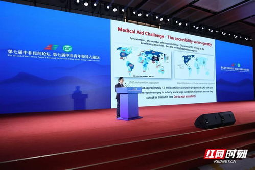 中国企业与非洲大陆这样牵手——中非经贸合作与企业社会责任平行论坛侧记