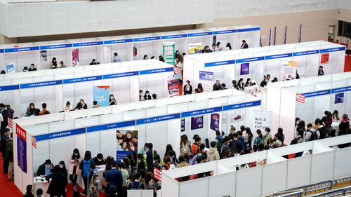 搭建桥梁，助力梦想 上外国际金融贸易学院2021年就业实习专场双选会成功举办